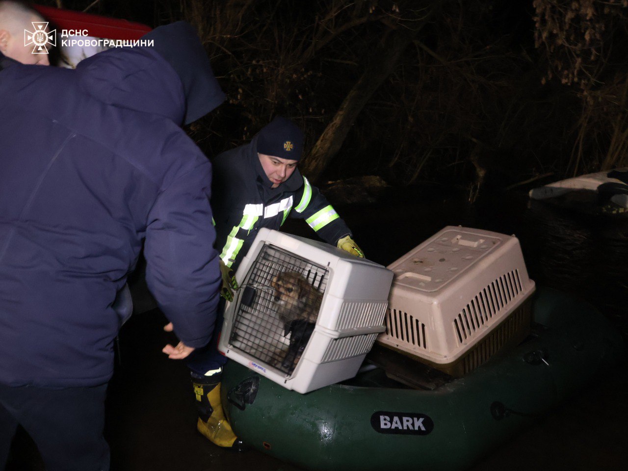 У Кропивницькому затопило притулок для тварин — фото 4