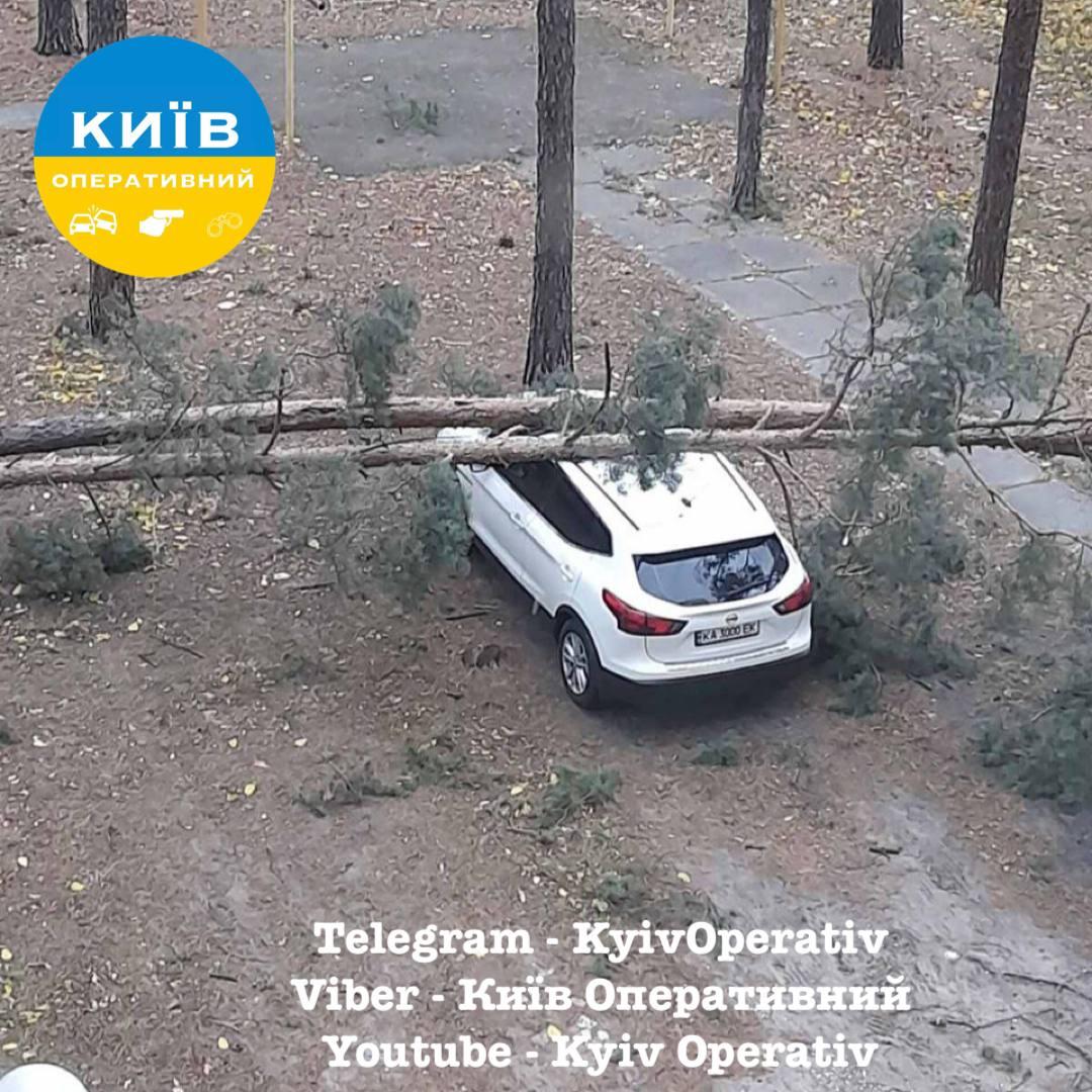В Киеве из-за сильного ветра погибли два человека — фото 3