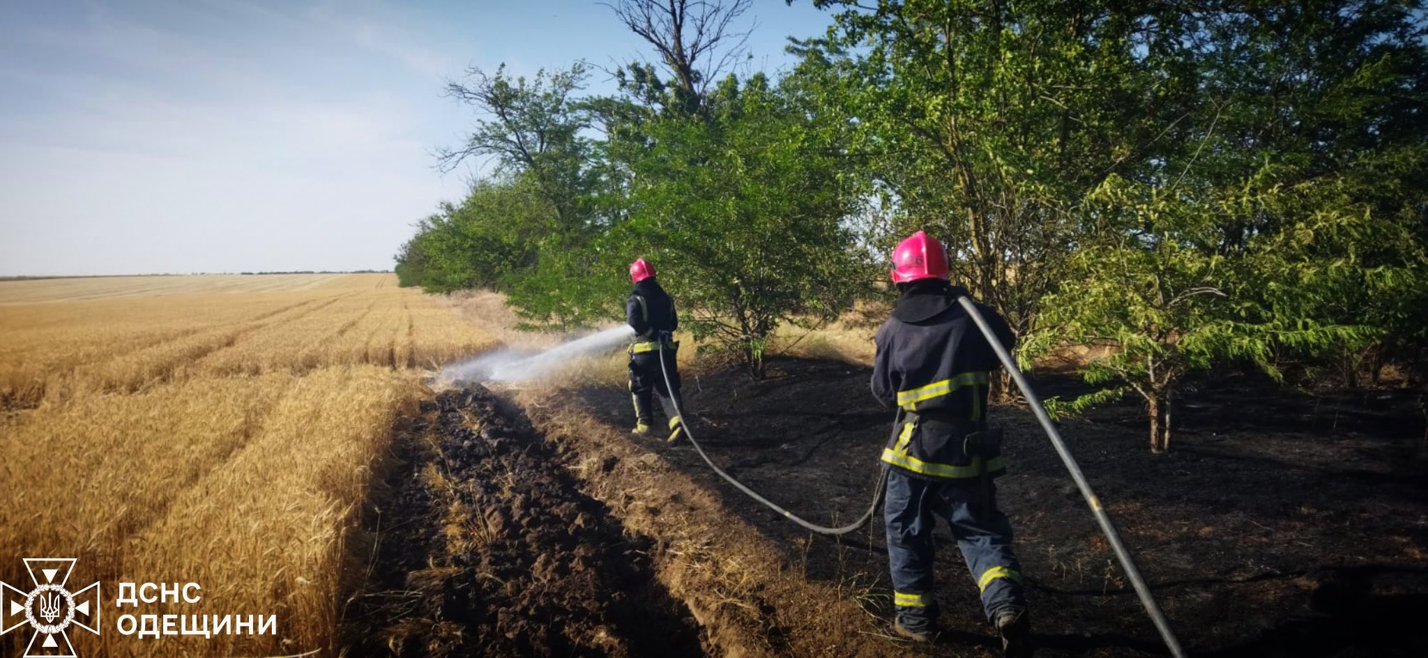 Одна людина загинула, троє постраждали, спалюючи сухостій у спеку, на Одещині — фото 2
