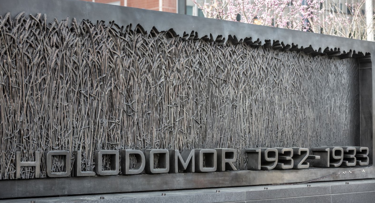 27 ноября — День памяти жертв Голодомора — фото