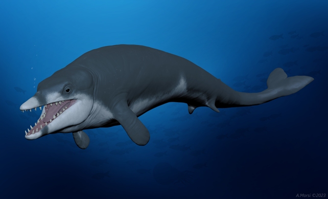 В древних песках Египта обнаружен кит, живший 41 млн лет назад — фото