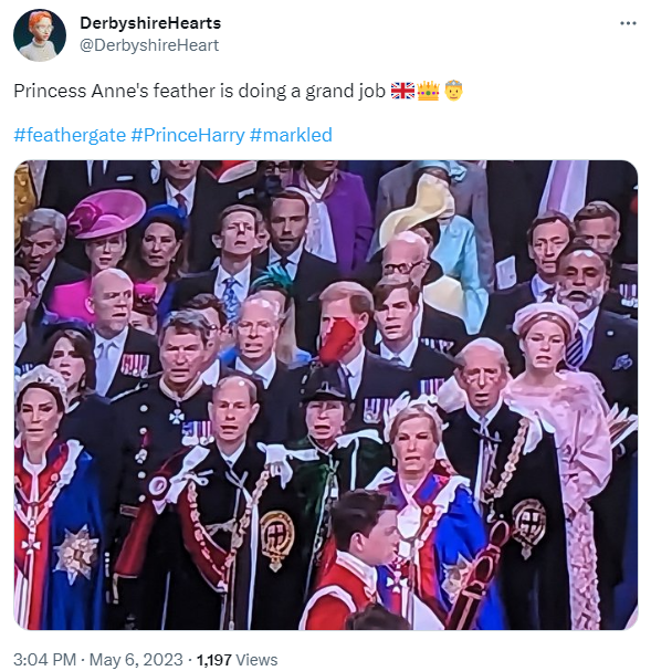 У мережі жартують над капелюшком принцеси Анни, що закрив Гаррі на коронації Чарльза ІІІ — фото