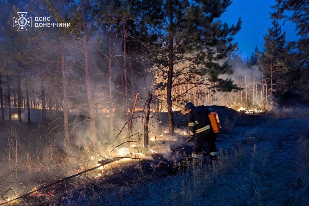 На Донеччині не можуть загасити лісову пожежу, яку спровокували обстріли — фото