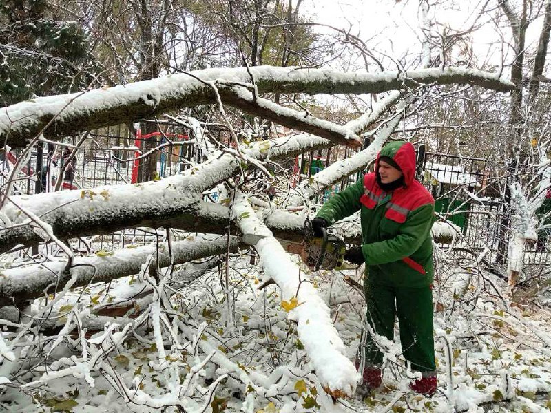 Из-за урагана погибли 10 человек, больше всего в Одессе — фото