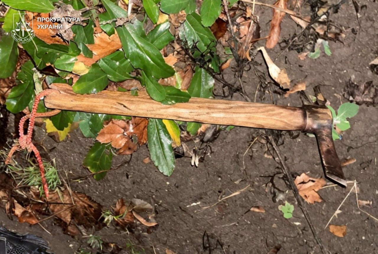 Во Львовской области задержали мужчину, который напал на военного ТЦК с киркой — фото 1