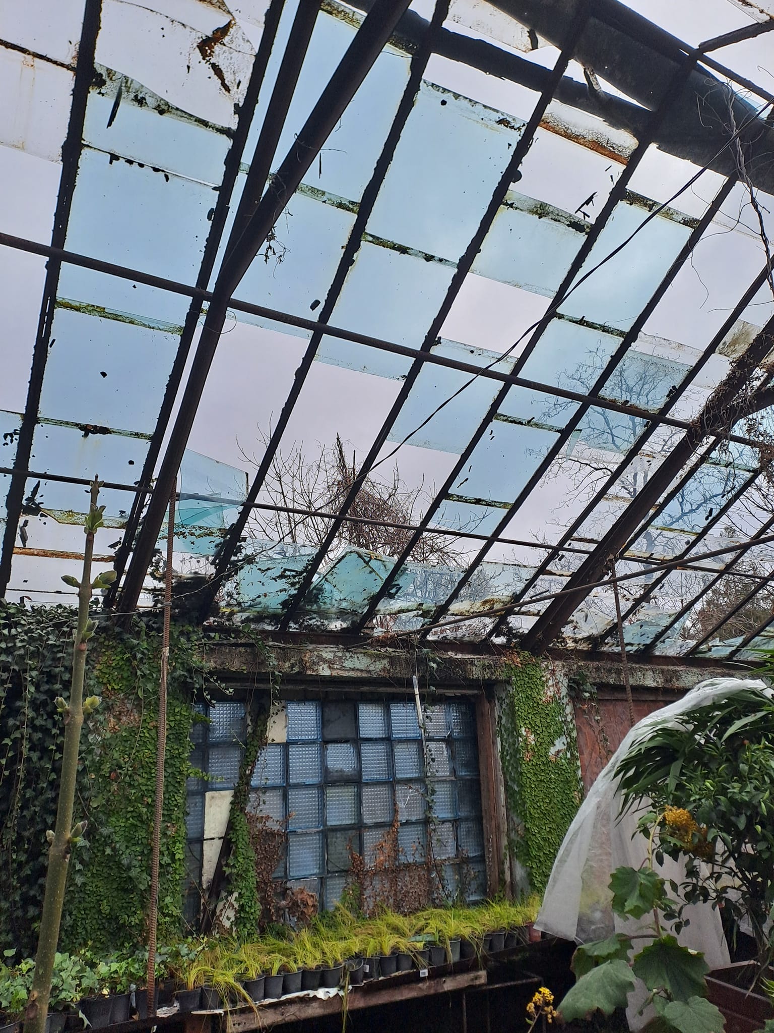 Из-за ракетного удара в Одессе серьезно пострадал Ботанический сад: фото — фото 6