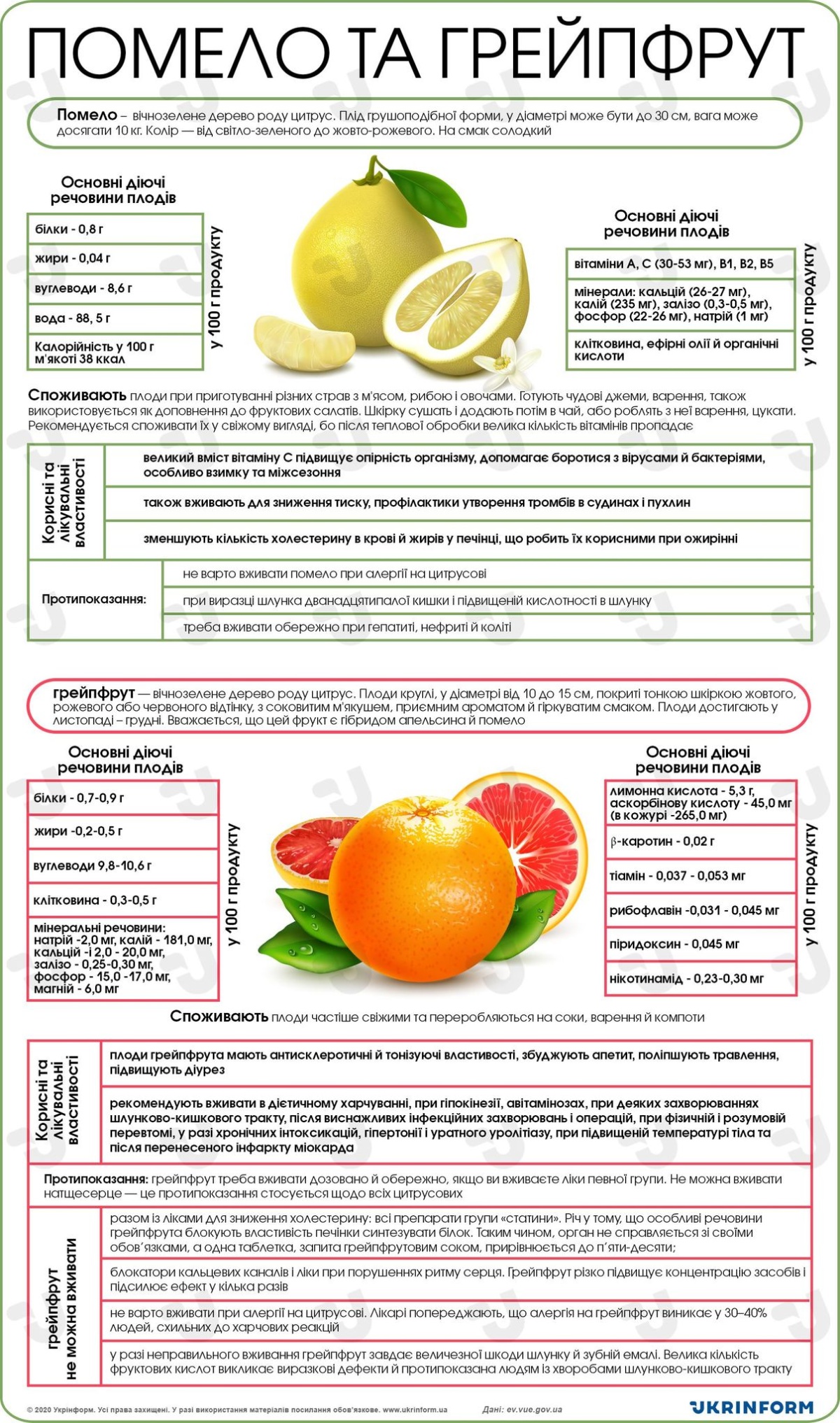 Яскравий вітамін: як цитрусові впливають на наш організм — фото