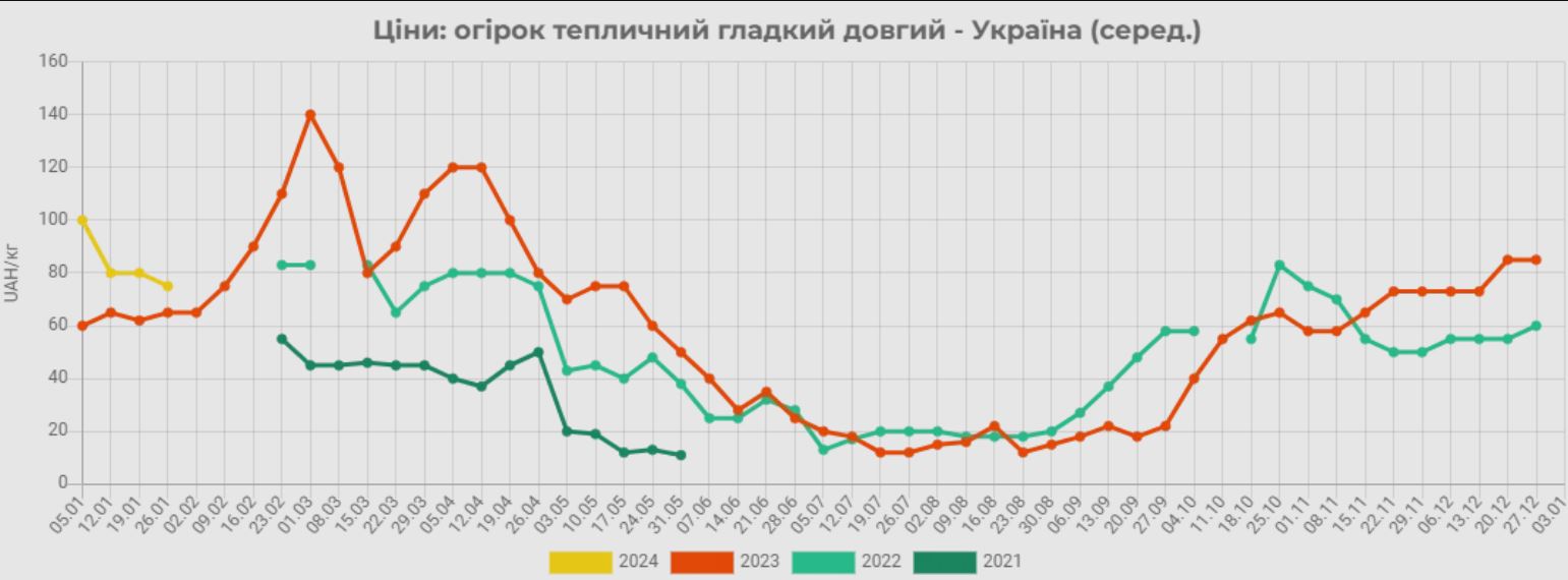 В Украине стремительно дорожают огурцы: причины и прогнозы цен — фото