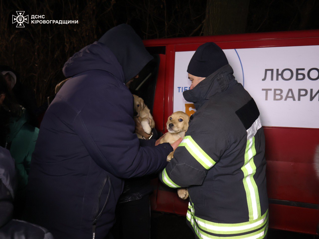 У Кропивницькому затопило притулок для тварин — фото 5