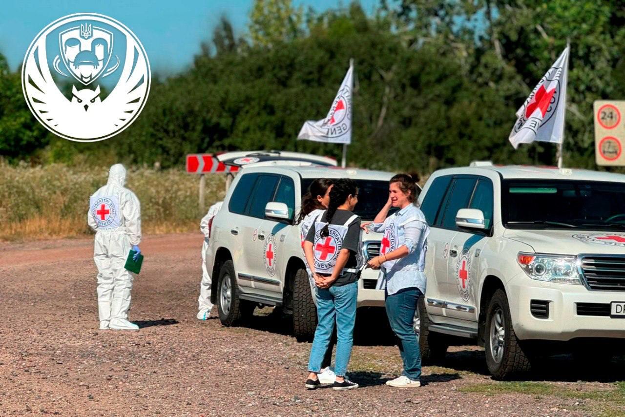 Украина вернула тела 250 погибших военных — фото 1