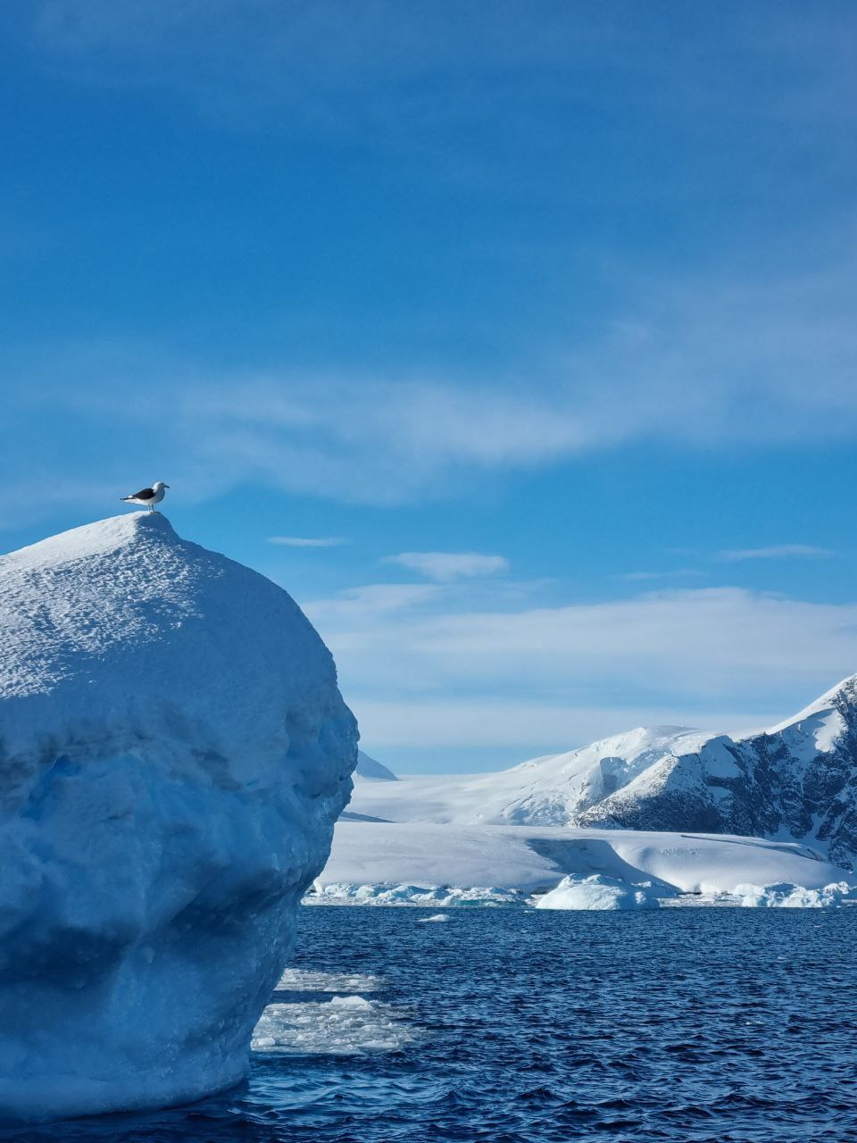 Ученые сообщили о рекордно теплой зиме в Антарктиде за 70 лет (фото) — фото 5