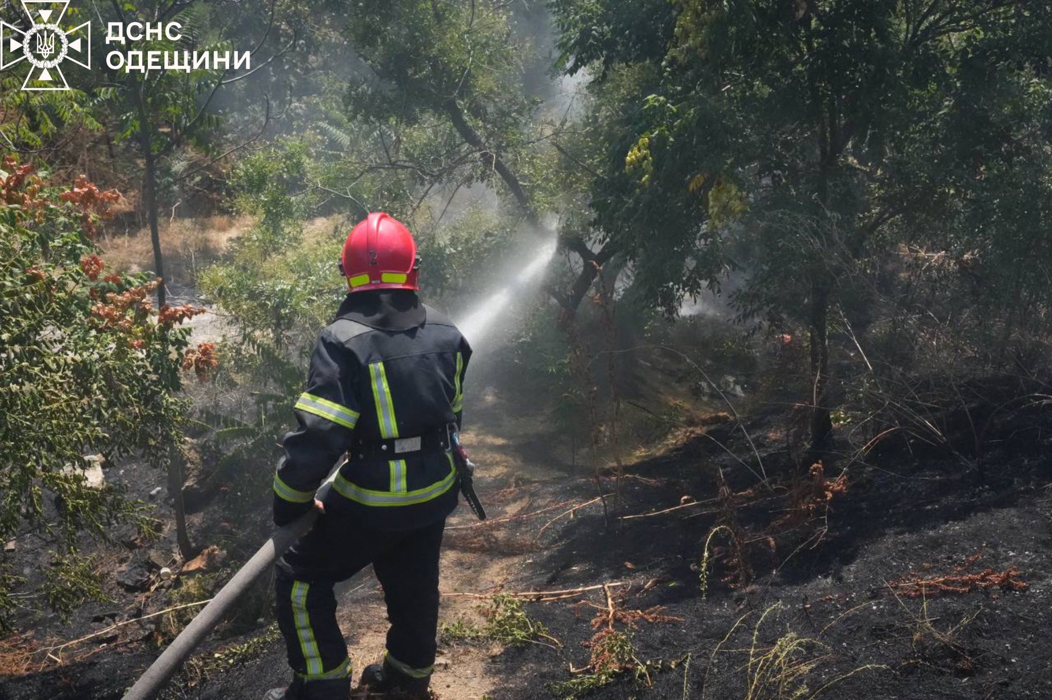 Одна людина загинула, троє постраждали, спалюючи сухостій у спеку, на Одещині — фото 4