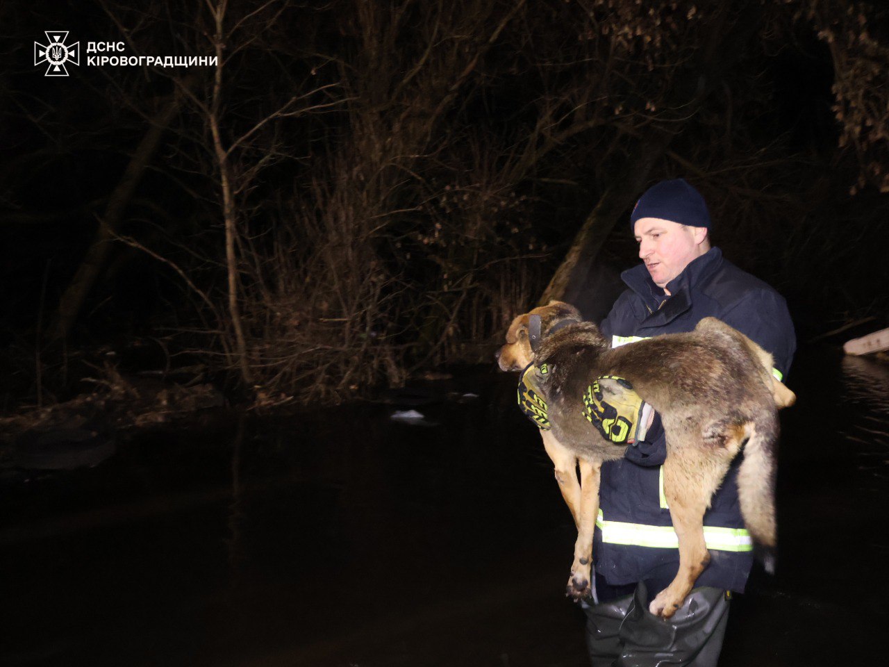 У Кропивницькому затопило притулок для тварин — фото 2