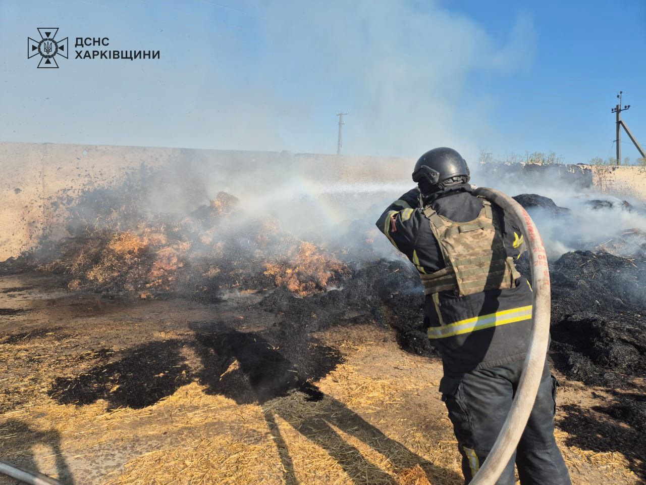 Російські окупанти обстріляли сільгосппідприємство на Харківщині: постраждали корови — фото