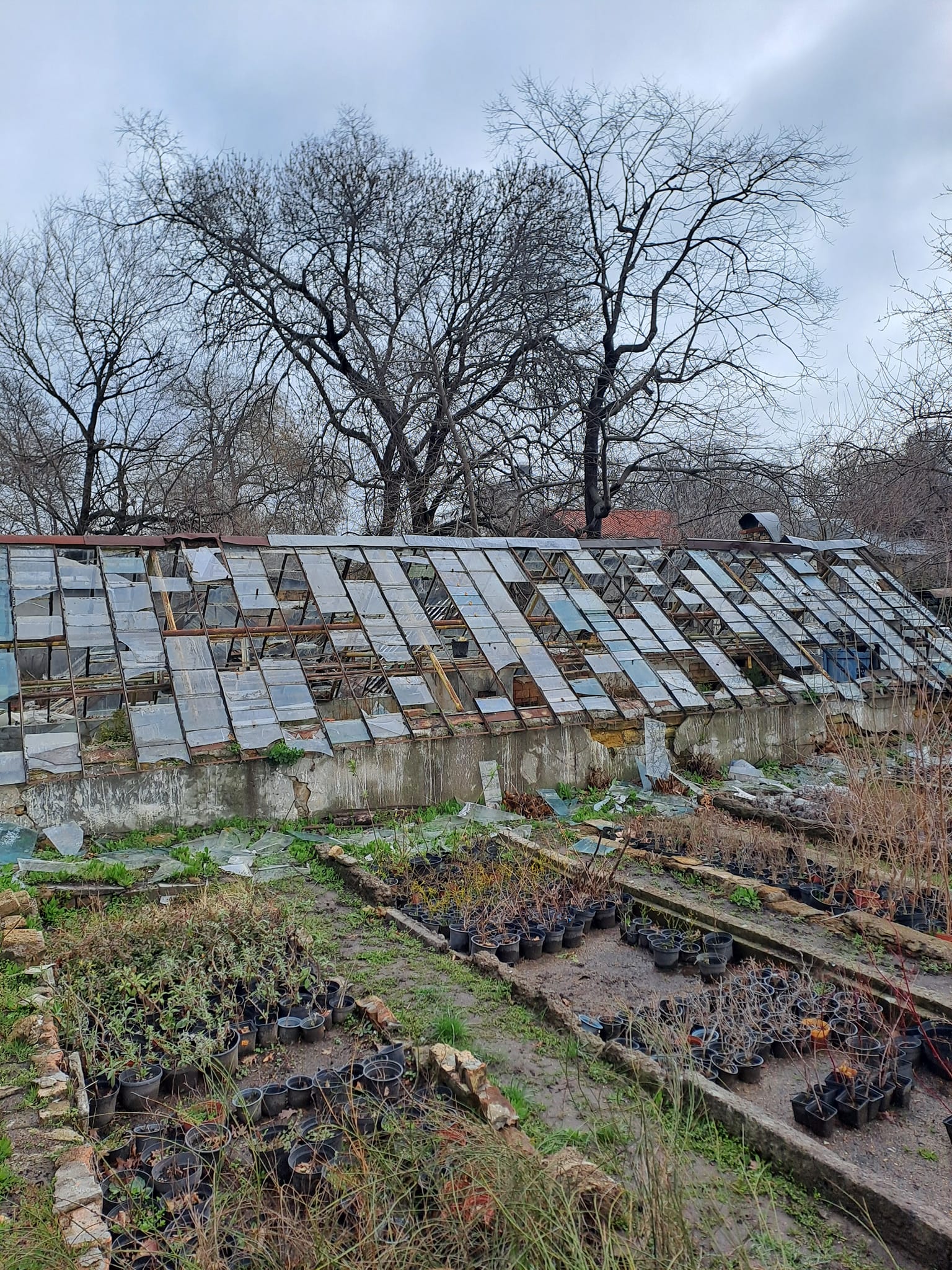Через ракетний удар в Одесі серйозно постраждав Ботанічний сад: фото — фото 1