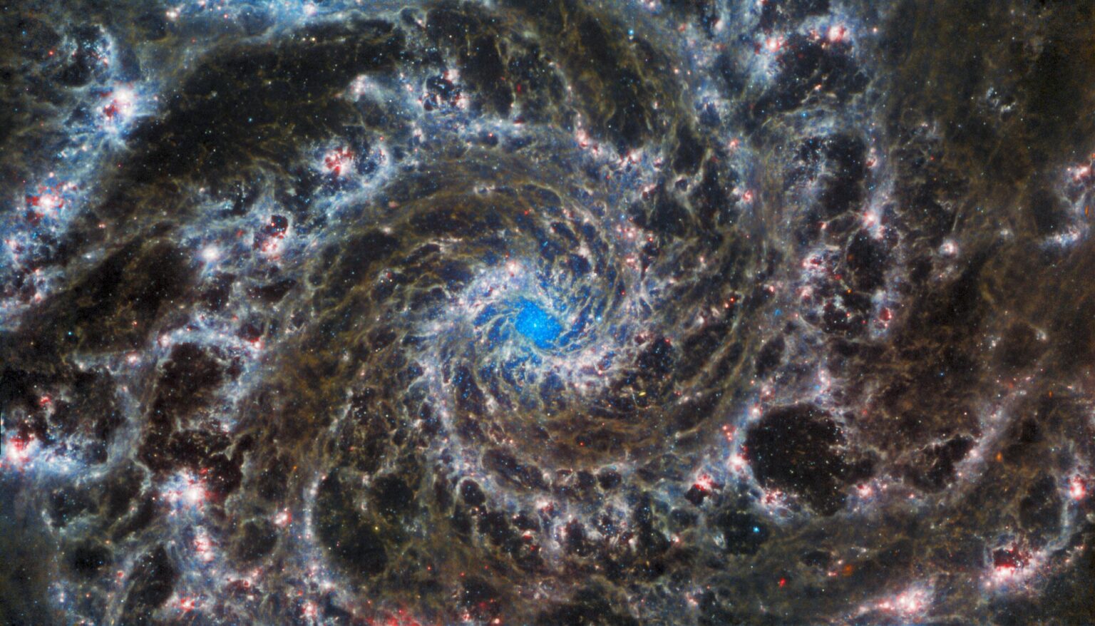 Планета за пределами Солнечной системы: телескоп Джеймса Уэбба показал уникальный снимок — фото 2
