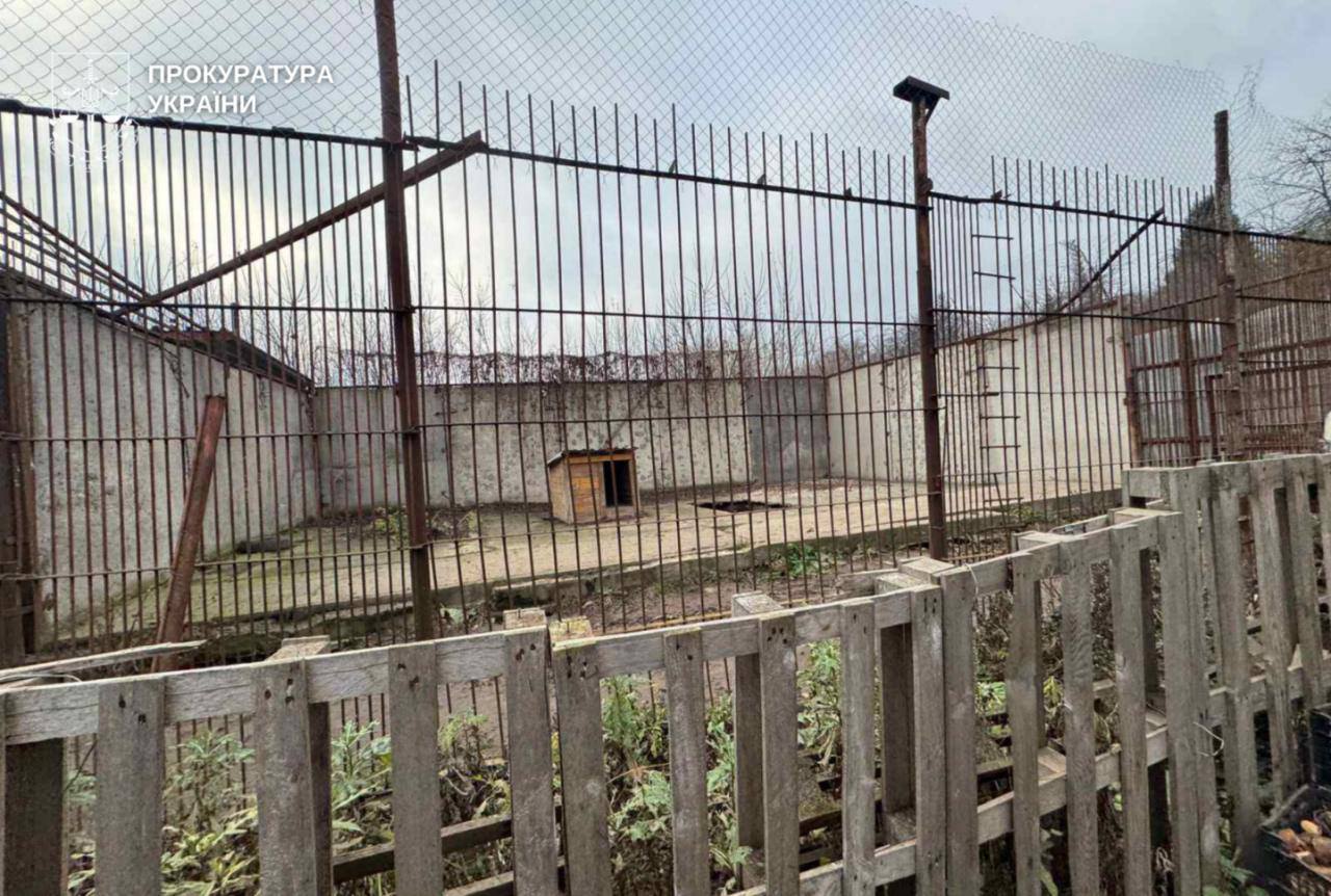 Центр реабилитации диких животных в Хмельницком, из которого сбежали львицы, находится в ужасном состоянии — фото 2