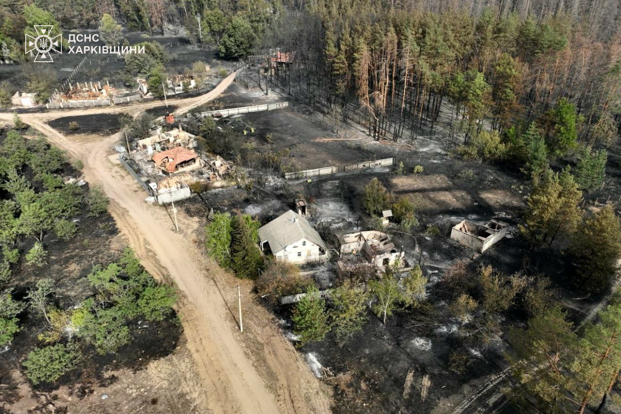 Вогнеборці локалізували масштабну лісову пожежу в Донецькій та Харківській області: знищено 302 будинки — фото 6