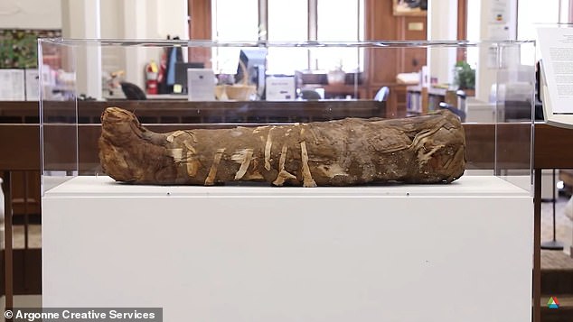 Вчені за допомогою рентгена заглянули всередину давньоєгипетської мумії, - ФОТО — фото