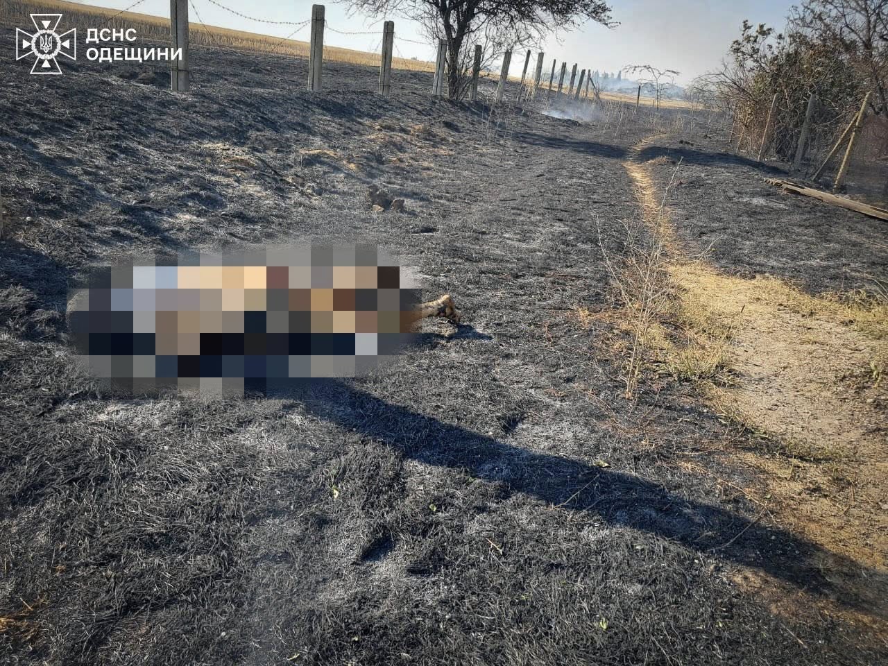 Одна людина загинула, троє постраждали, спалюючи сухостій у спеку, на Одещині — фото 1
