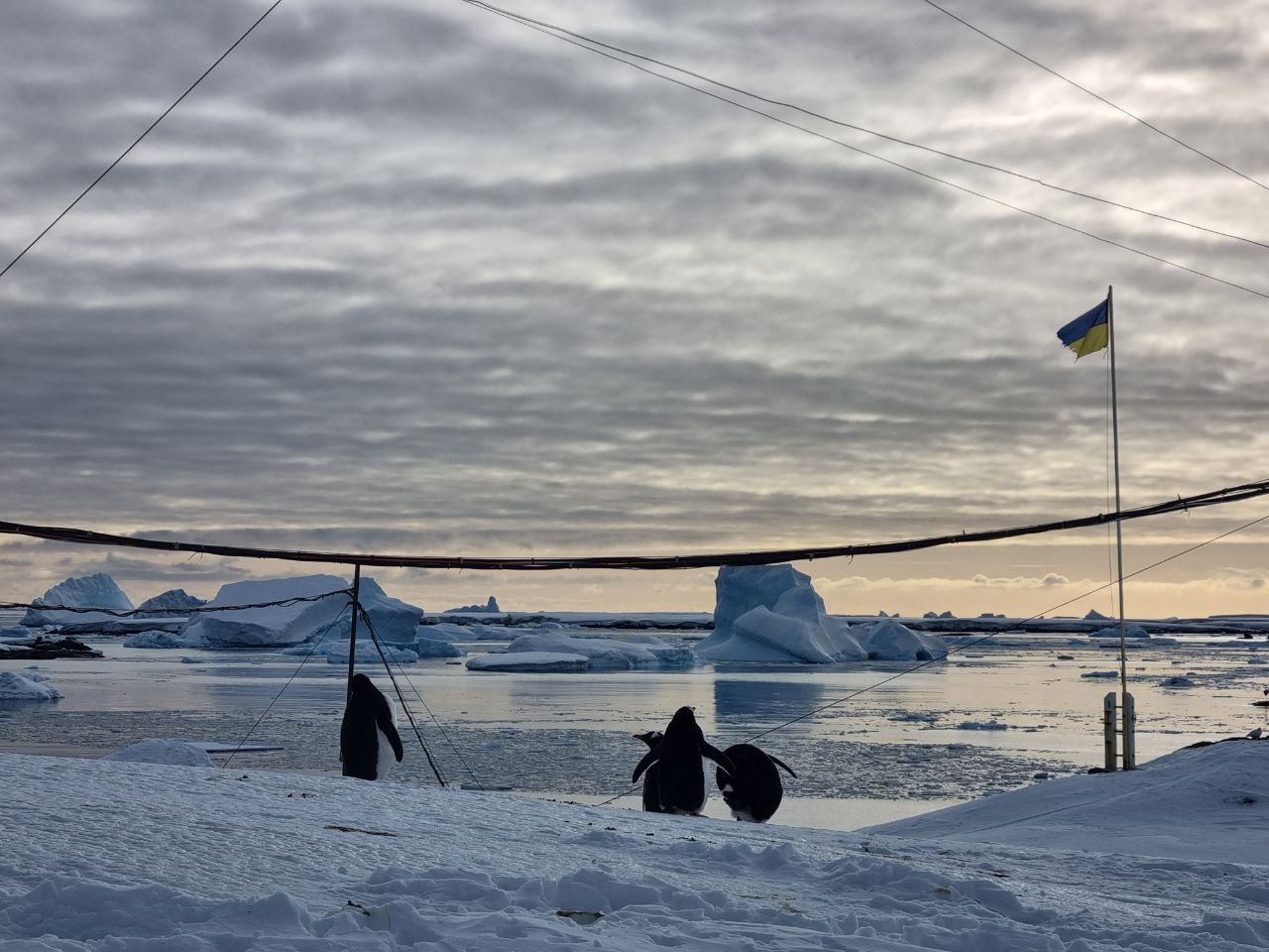 Ученые сообщили о рекордно теплой зиме в Антарктиде за 70 лет (фото) — фото 2