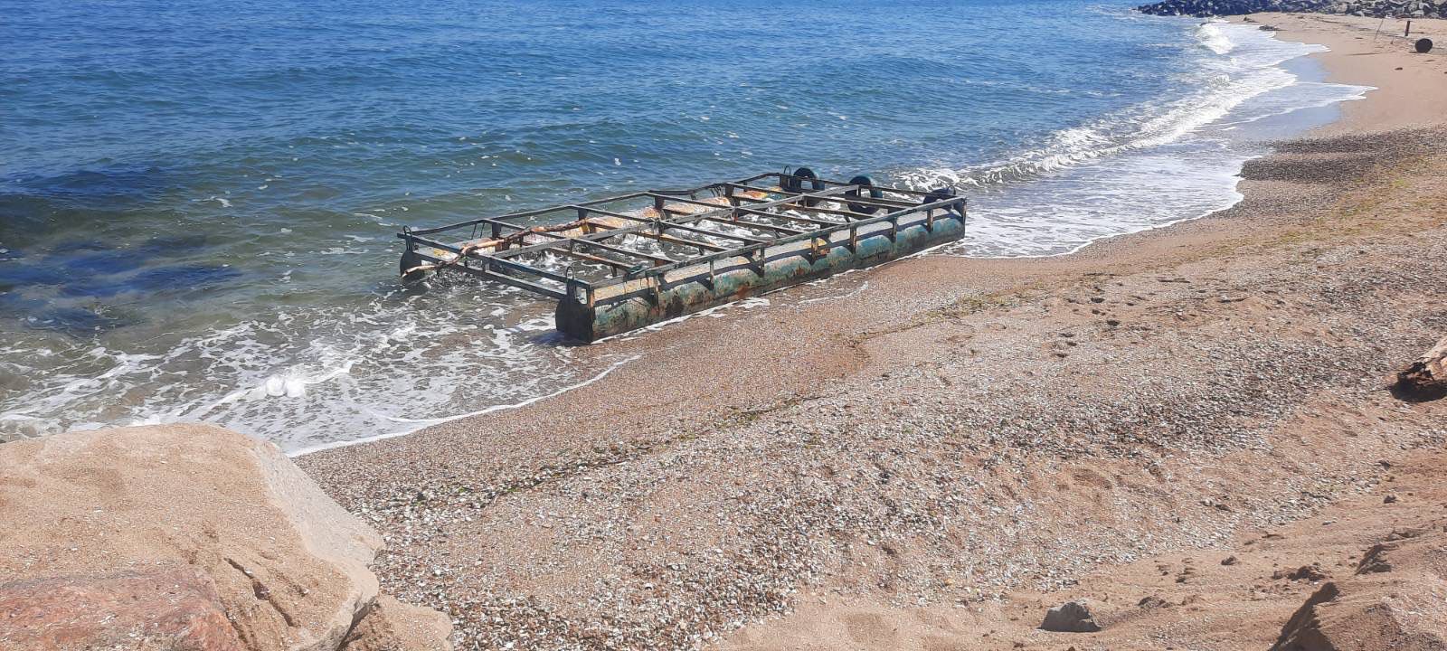Море превращается в свалку и кладбище животных, начинается мор рыбы: показали последствия экоцида — фото