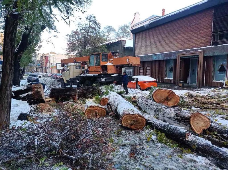 Через ураган загинули 10 людей, найбільше в Одесі — фото
