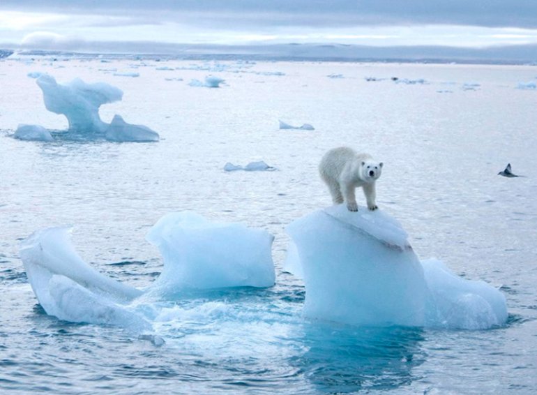 Сколько льда на Земле и как быстро он тает - ВИДЕО — фото 6