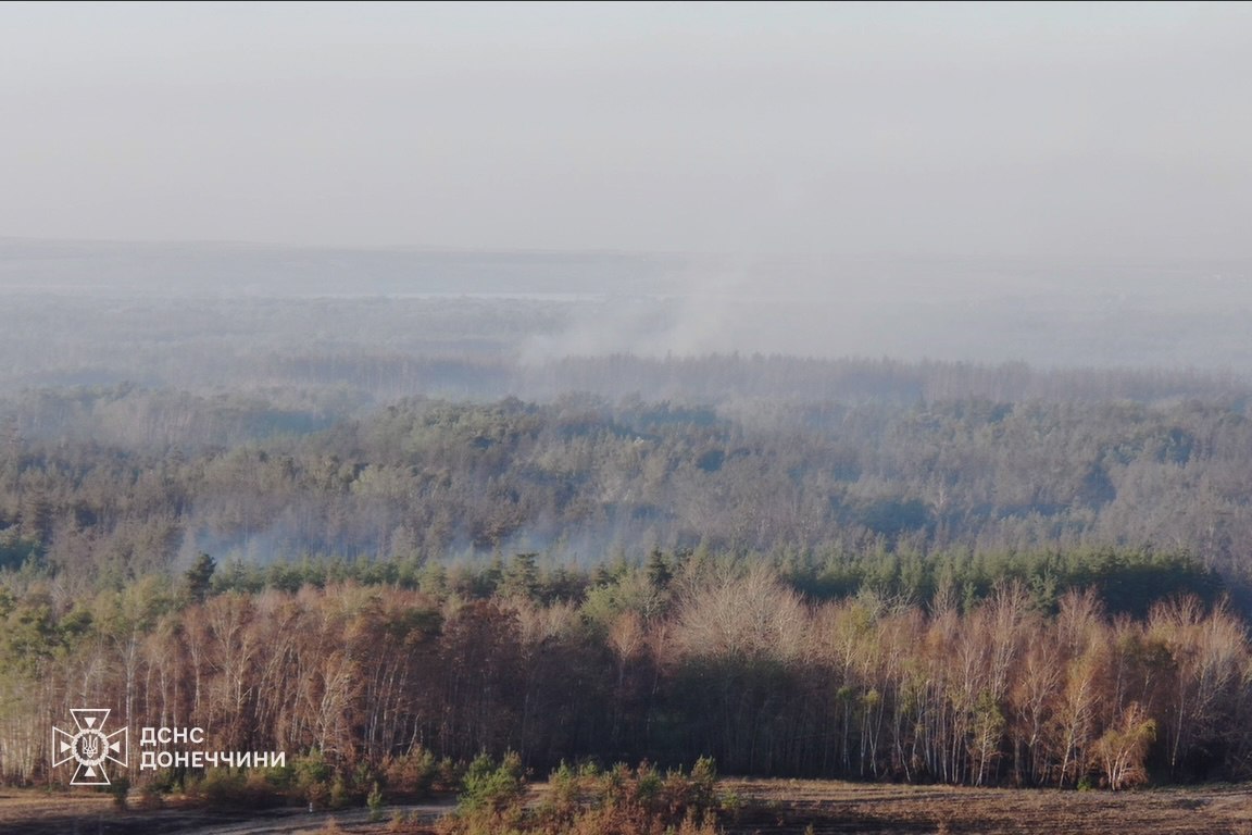 Спасатели третьи сутки тушат лесной пожар в Полтавской области и на территории Лиманского лесничества — фото 5