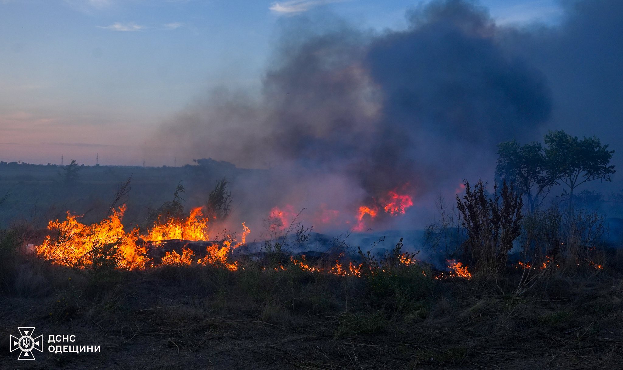 Одна людина загинула, троє постраждали, спалюючи сухостій у спеку, на Одещині — фото 6