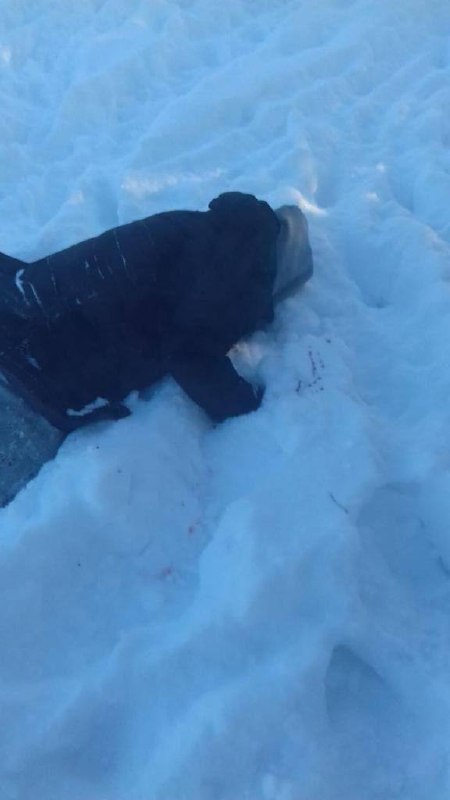СМИ показали новые кадры с места ликвидации Ильи Кивы — фото