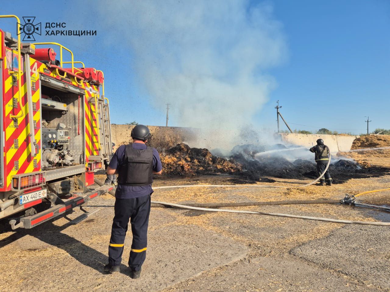 Російські окупанти обстріляли сільгосппідприємство на Харківщині: постраждали корови — фото