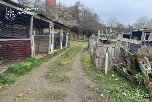 Центр реабилитации диких животных в Хмельницком, из которого сбежали львицы, находится в ужасном состоянии — фото 1