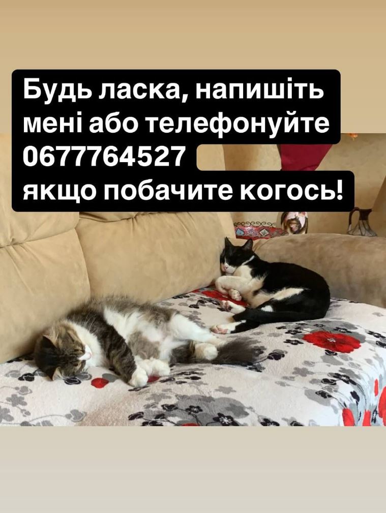 Россияне атаковали дом директора одесского зоопарка: потерялись животные (фото) — фото 3