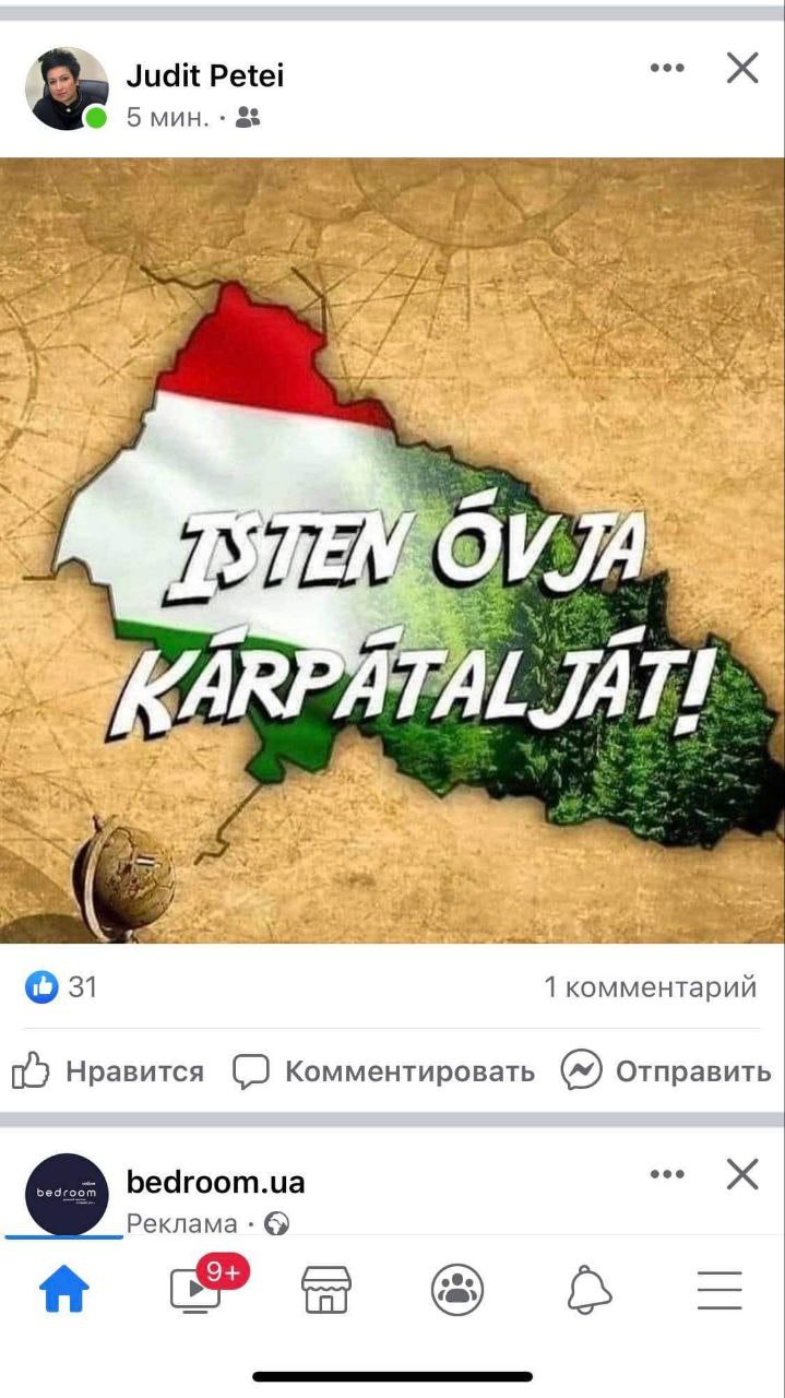 На Закарпатье депутат опубликовала карту области в цветах флага Венгрии — фото
