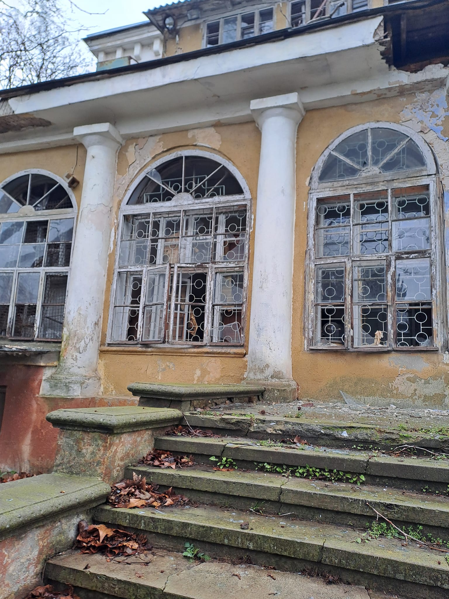 Из-за ракетного удара в Одессе серьезно пострадал Ботанический сад: фото — фото 2