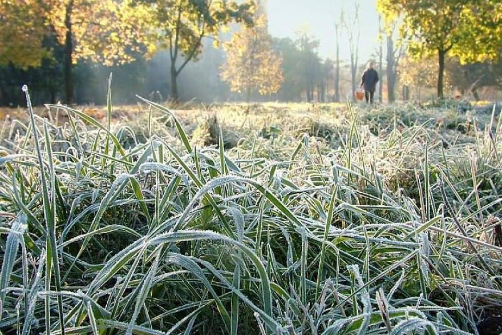 адвективно-радиационные заморозки. июнь похолодание. заморозки в августе. заморозки в августе. июнь похолодание.
