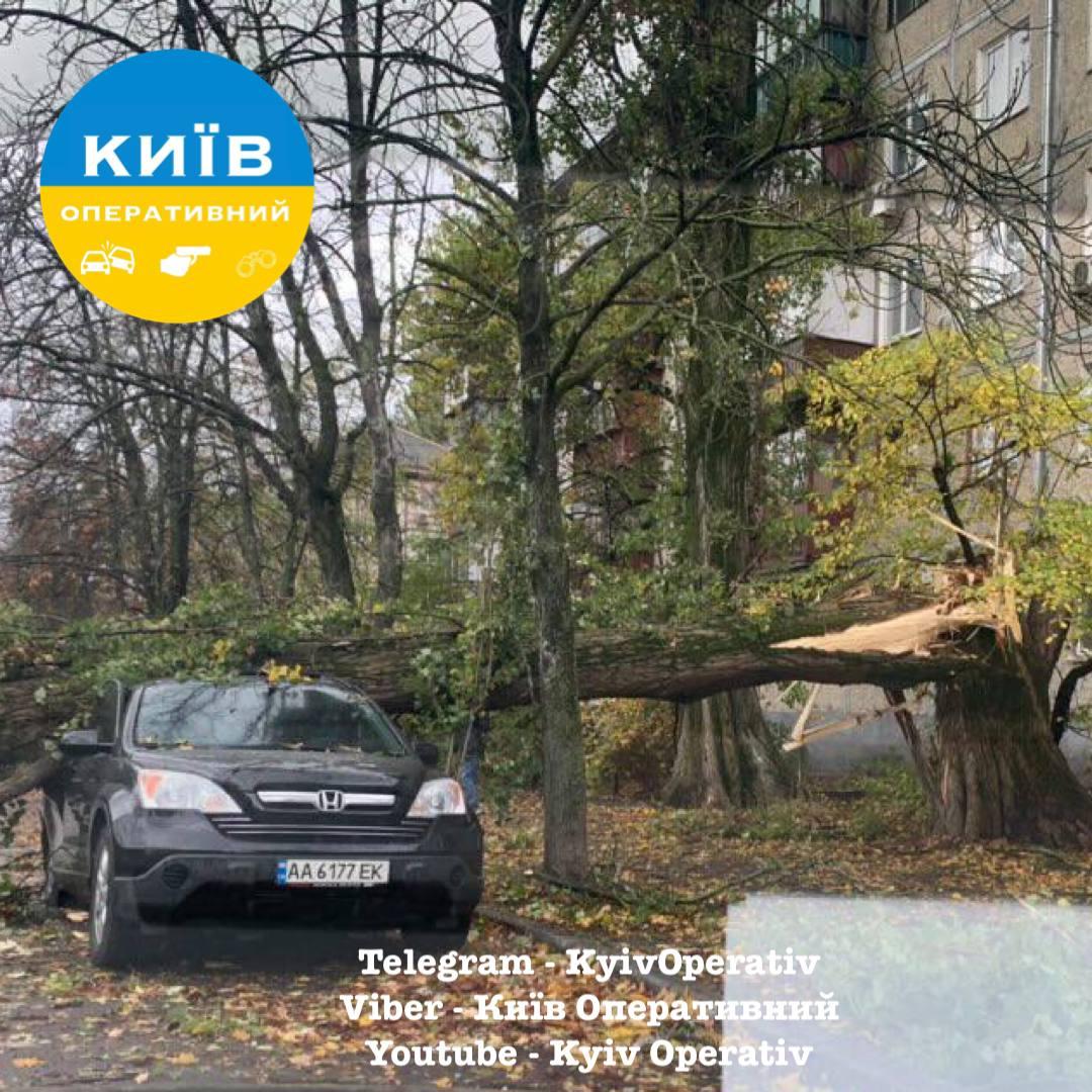В Киеве из-за сильного ветра погибли два человека — фото 2