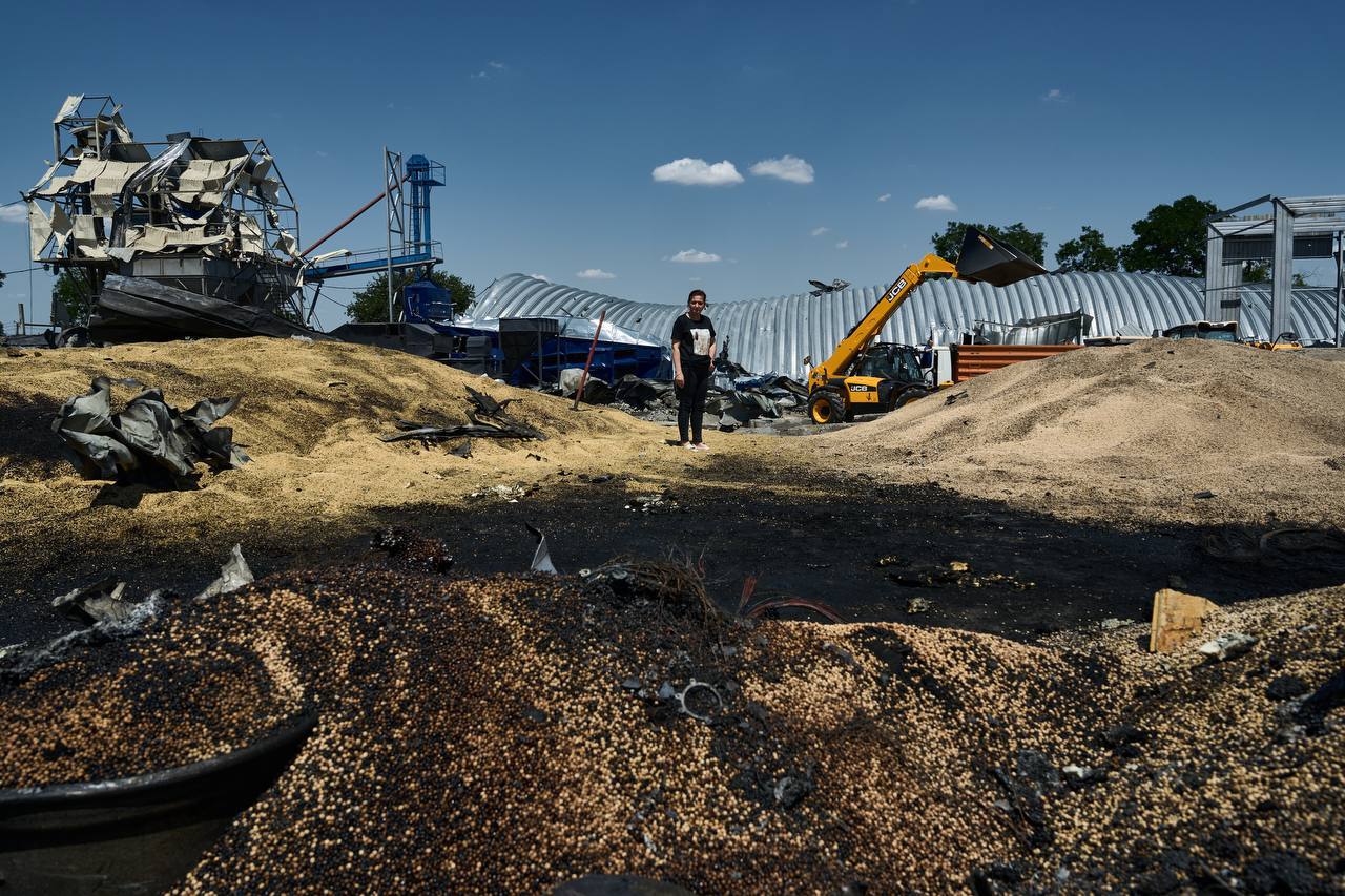 ”Выращен под сиренами, собран под ракетными обстрелами”: фото уничтоженного под Одессой урожая — фото 4