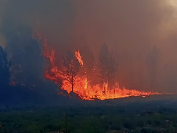 Францию охватили мощные лесные пожары — фото 2