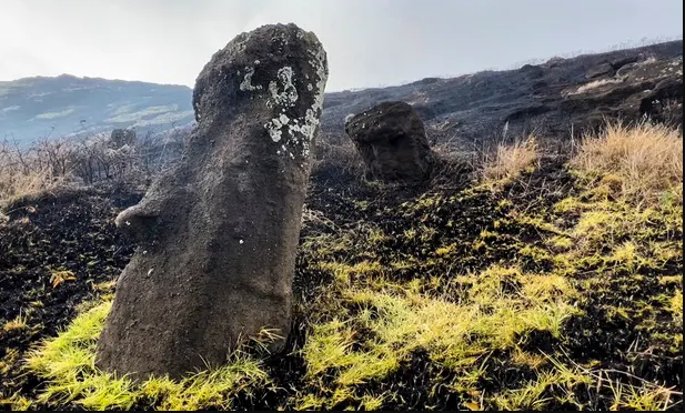 При пожаре на острове Пасхи обгорели знаменитые статуи моаи — фото 1