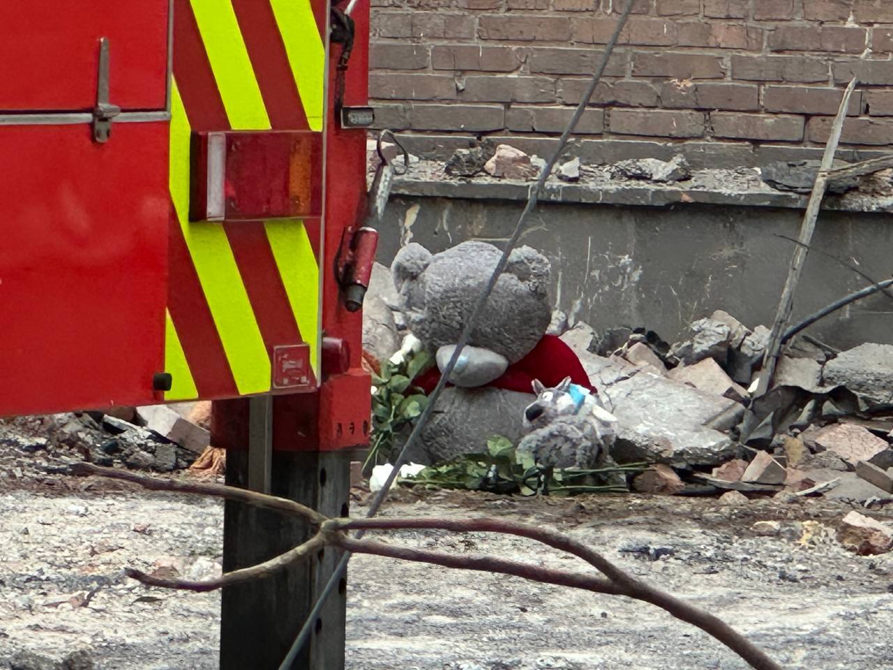 Вижив лише батько: з'явилися фото загиблих у Кривому Розі жінки з трьома дітьми — фото 5