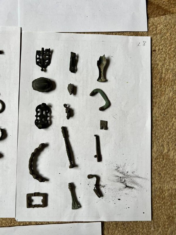 ”Черный археолог” нашел клад III века в Украине и незаконно продал его на аукционе — фото