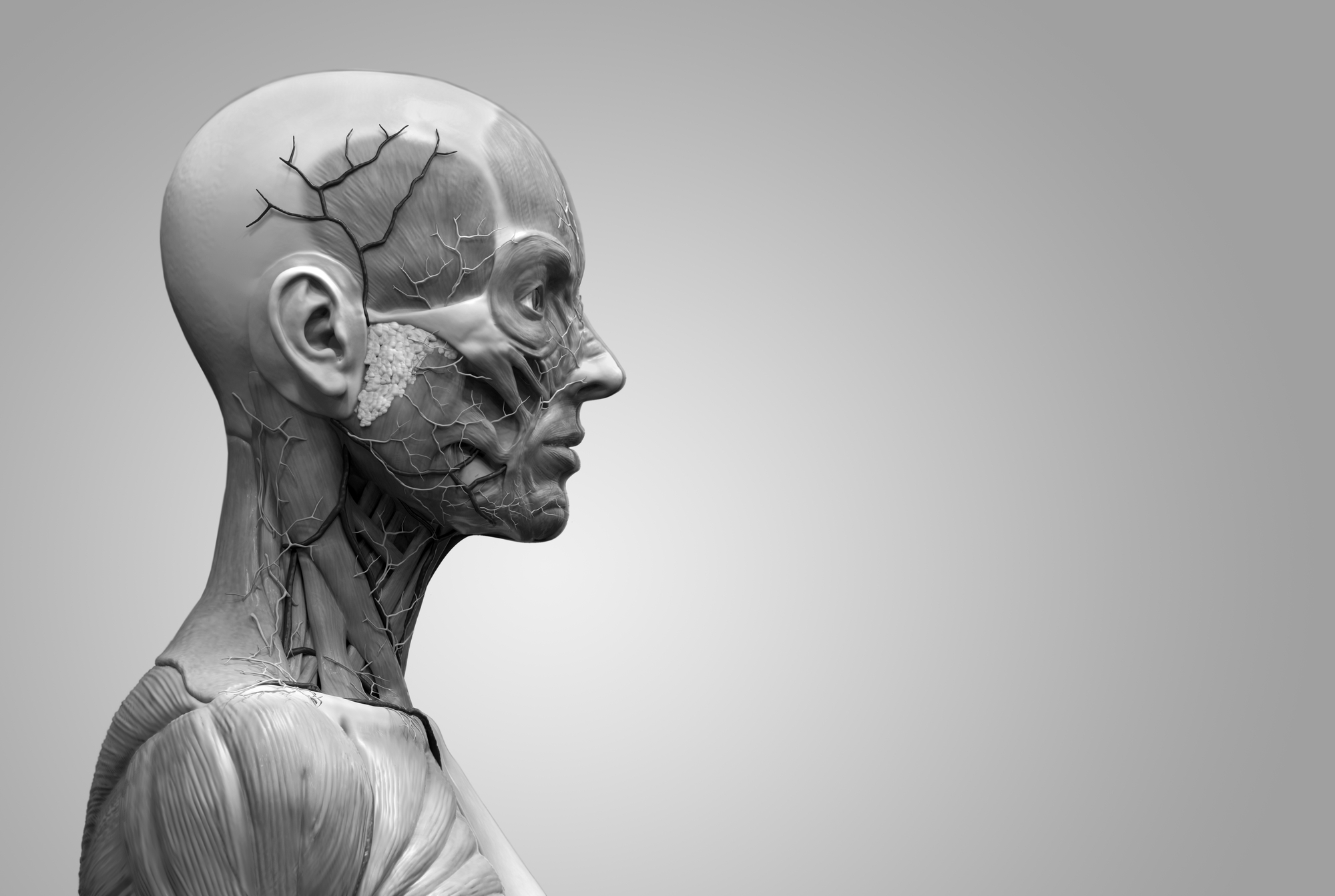 Трансплантація - новини та інформація про медичну процедуру