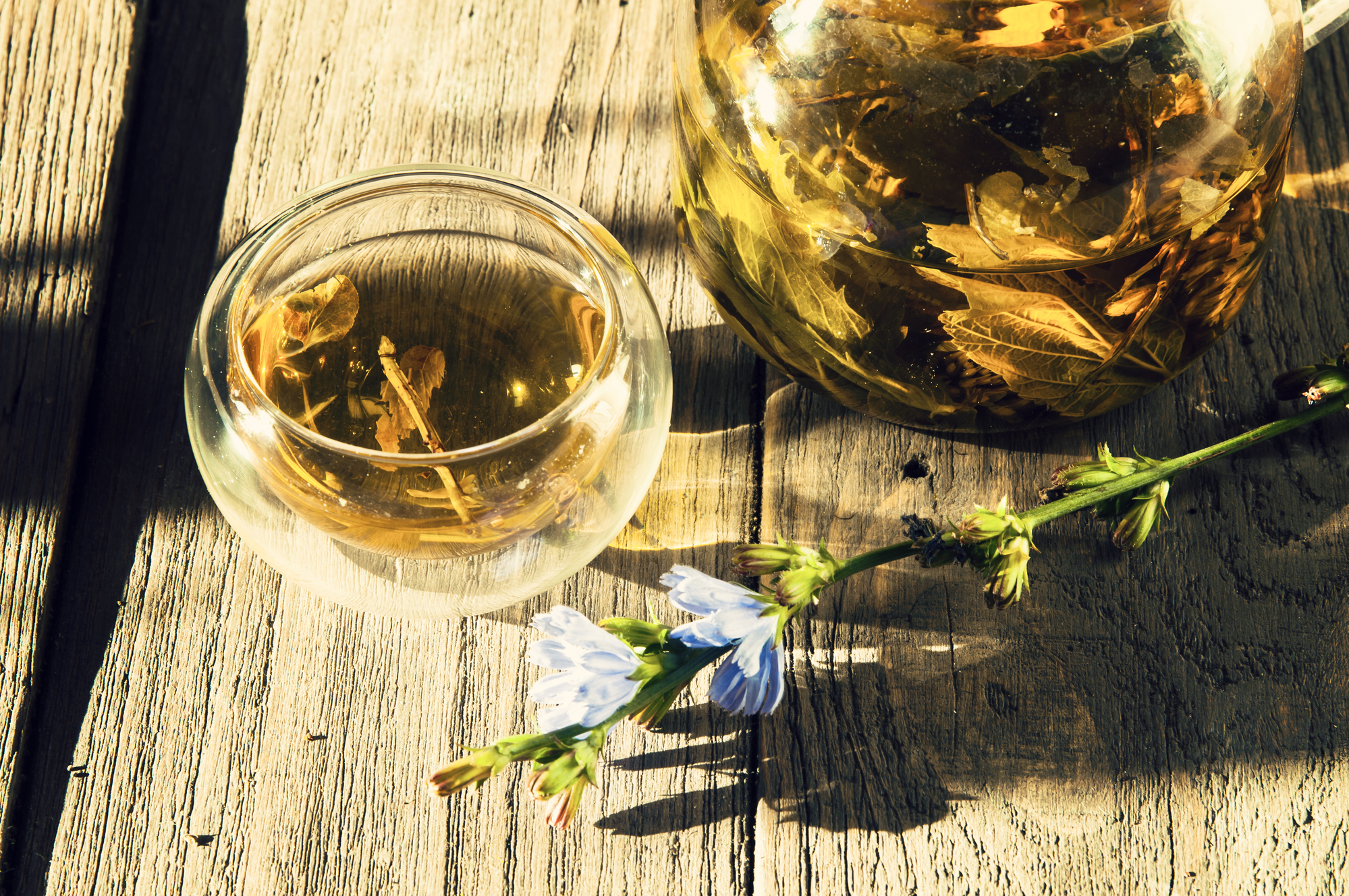 Чай — новости и информация про напиток